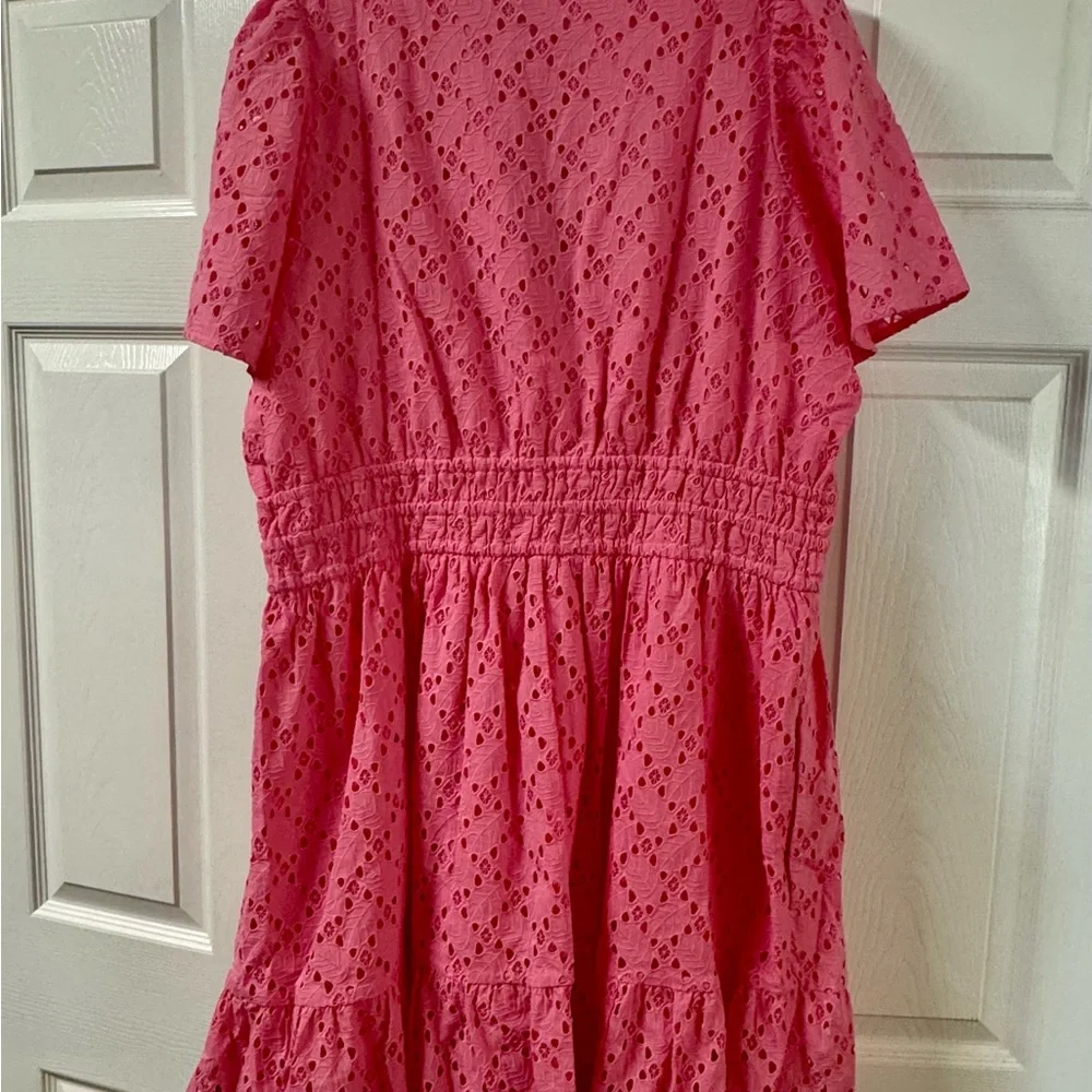 Draper James Wilson Pink Eyelet Whimsical Feminine Mini Dress New With Tags XL - Picture 7 of 13